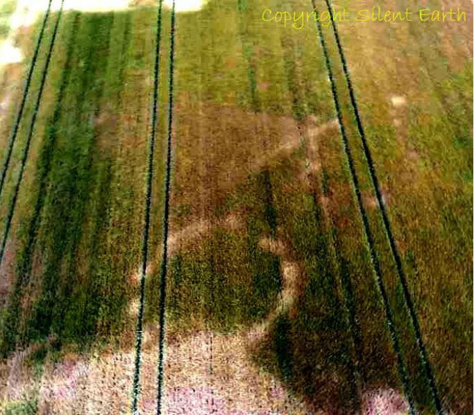 Cropmark and parchmark activity at Mount Pleasant in Dorset filmed by Silent Earth during the recent dry spell.

silentearth.org/mount-pleasant…