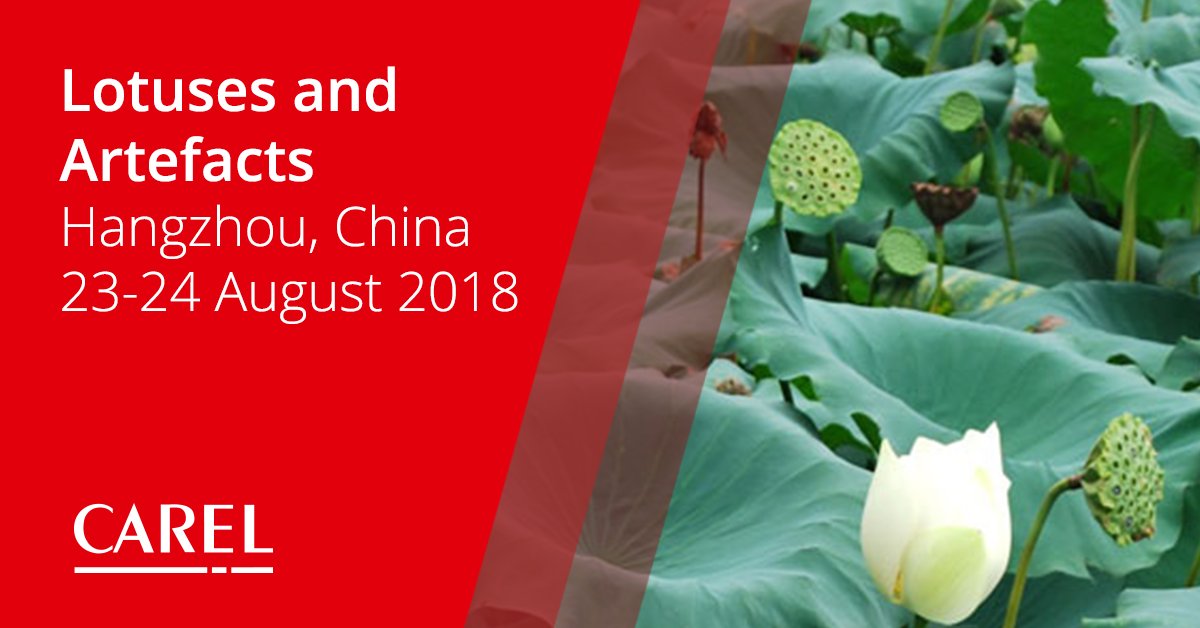 CAREL_group's tweet photo. Historical #artefacts and works of #art are as precious as fragile and need stable #air conditions to be properly #preserved. A conference on this topic was held in Hangzhou, China, on August 23-24. Read our latest blog post https://t.co/FQlt7NMZ22 
#humiditymanagement https://t.co/1PpzmH36qw