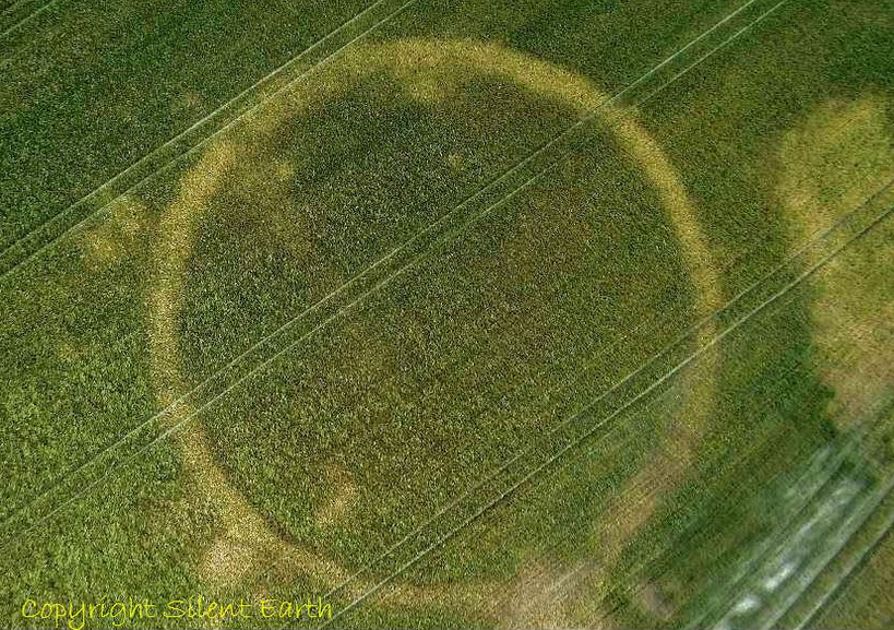 Mount Pleasant in Dorset, Site IV, photographed during the recent dry spell. Within this circular feature was housed a circular five-ringed oaken  timber structure and sarsen stone cove, amongst other features.

silentearth.org/mount-pleasant…