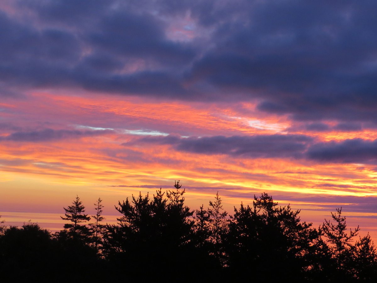 Grand Manan Island tweet media