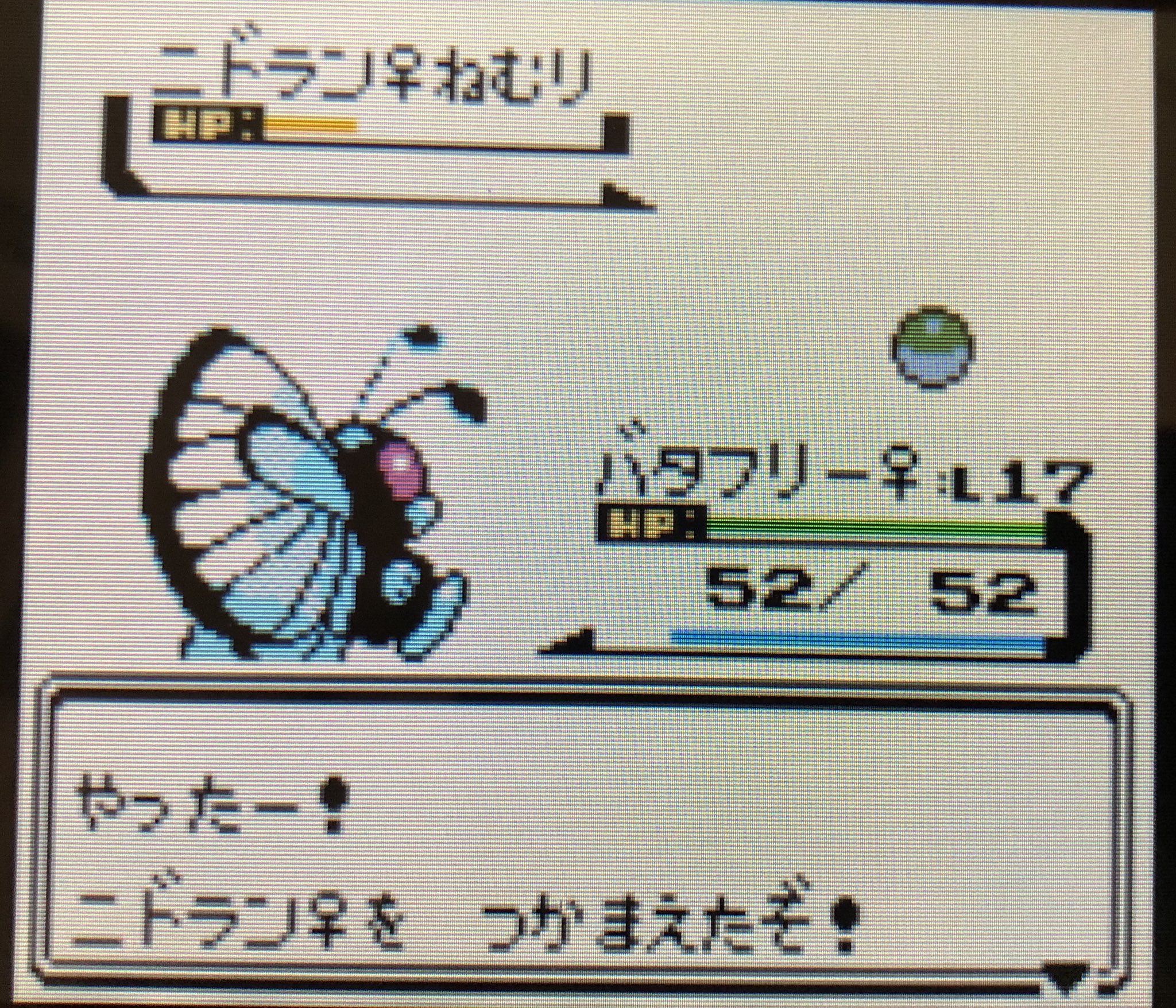 ポケモンプレイ日記 Twitter
