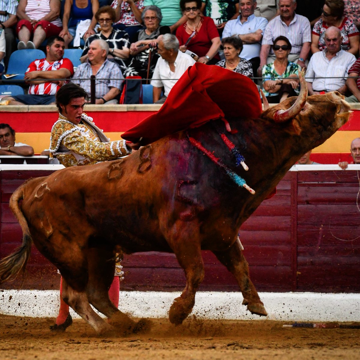 Como un tren .. Villa del Prado !
#3orejas #FernandoPeña