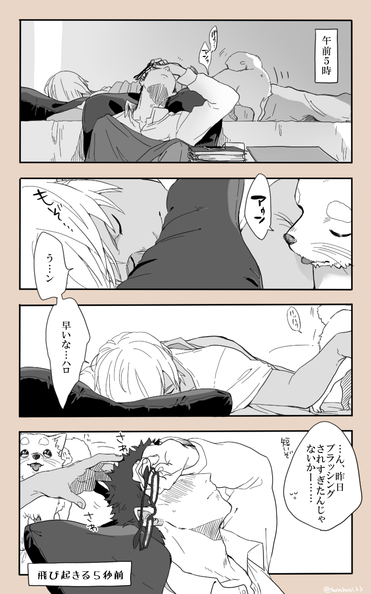 早朝の降風 https://t.co/JZ4wR1LbfY