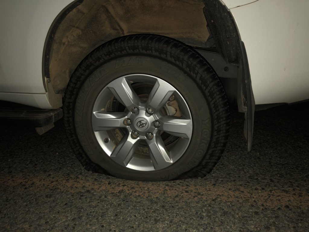 All in a days work..🐮🌾🔧 #ANZAgri