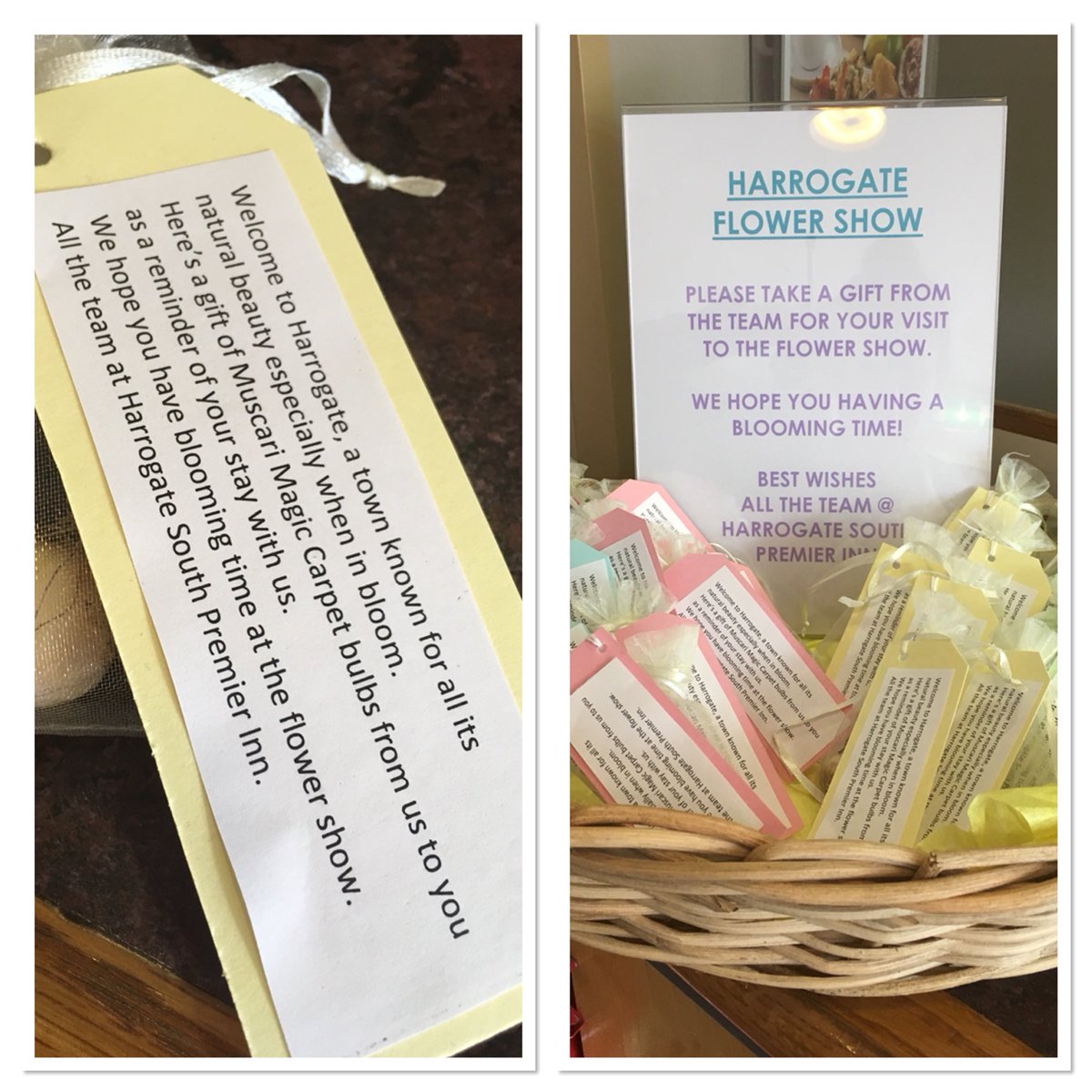 Lets have a blooming time for Harrogate flower show!🌹🌷💐 #PIWOW #regionalised #flowershow #harrogateinbloom  <a href="/SDEBDD/">simon ewins</a> <a href="/virzaityte/">Viktorija Virzaityte</a> <a href="/jmb0606/">John Mark Brennan</a> @Valerie_PI3R