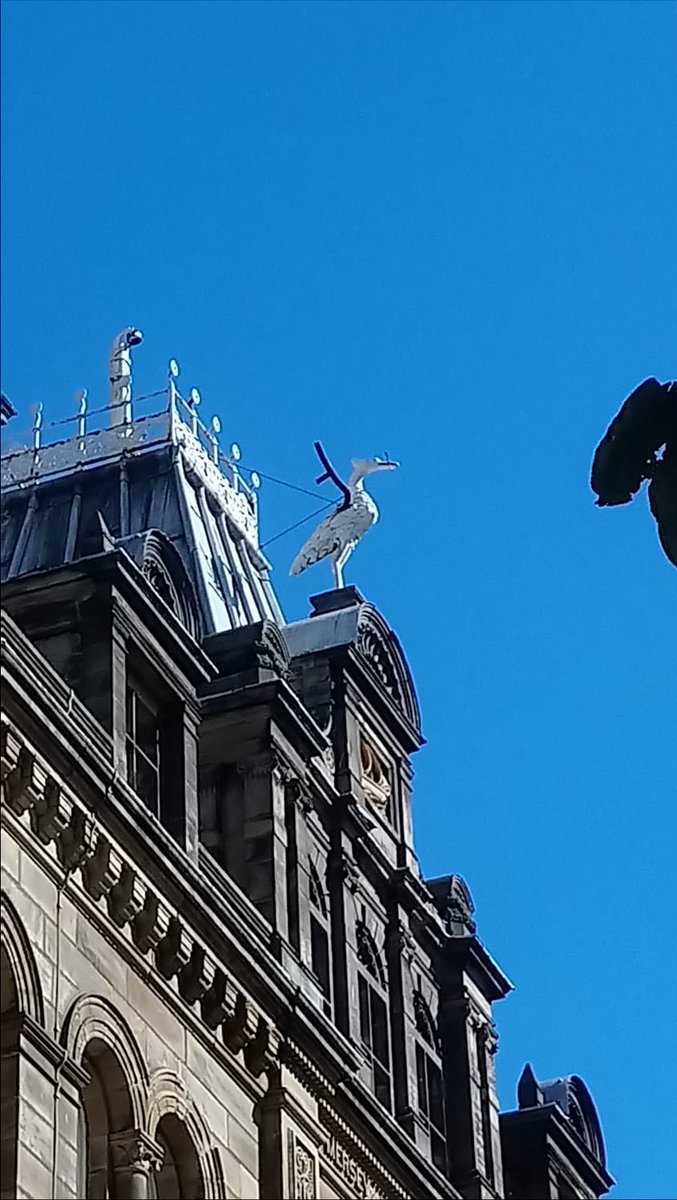 LpoolChamber's tweet photo. One of the categories in our brand new photo competition #GetOutThere18 is ‘Liver Bird’. We want to see as many different Liver Birds as we can, the more unusual the better! Find out more about the competition here: https://t.co/jlBpxb3zoP You could win £50 of vouchers! 📷 https://t.co/Ci4mDiW4mN