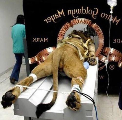 Cloudsandwich tweet media