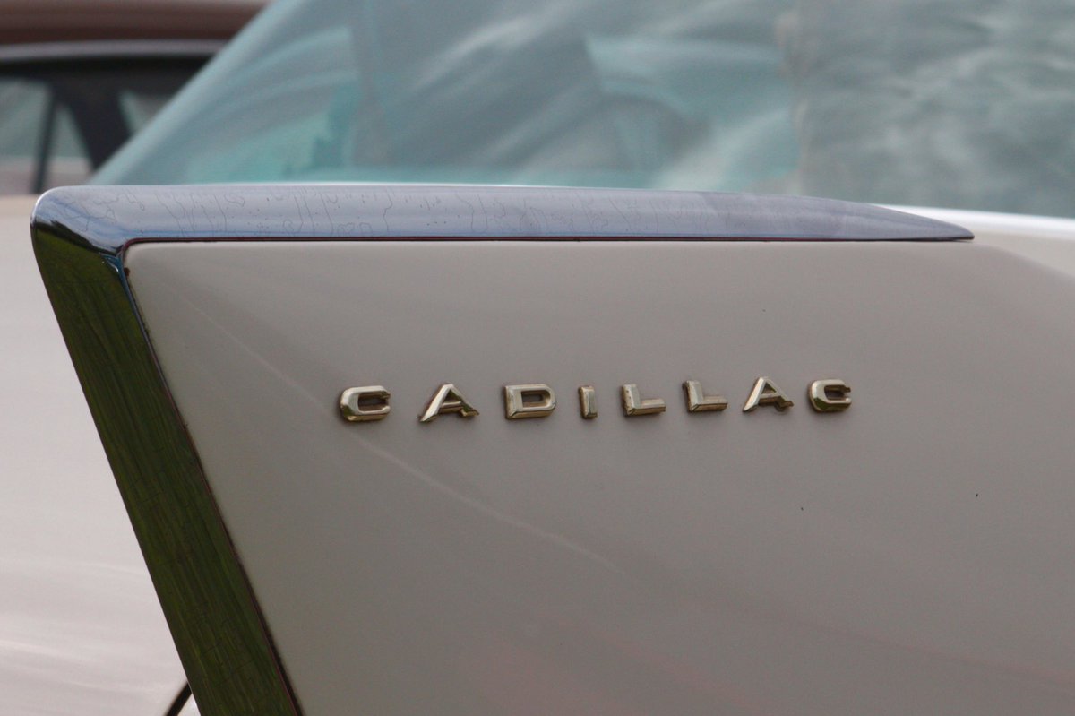 Caddy. #GoodwoodRevival