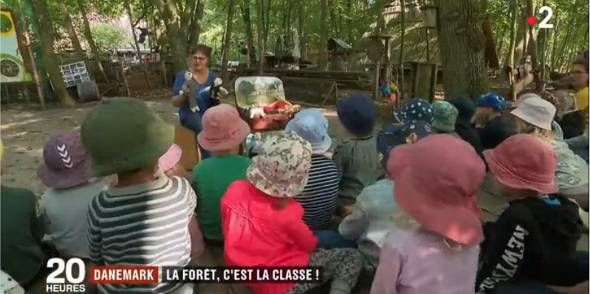 Au Danemark, de nombreux enfants vont à l'#école au milieu des bois. 20 % des classes de maternelles offrent un #enseignement au cœur de la nature. Été comme hiver, les enfants sont dehors, coupent du bois et grimpent aux arbres buff.ly/2OghnL3