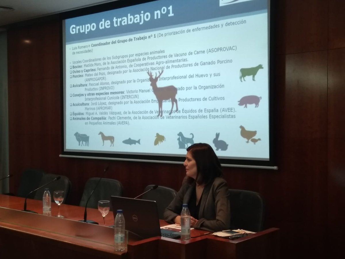 FAUNsan's tweet photo. María Jaureguízar, Directora Gerente de @Vetmasi, nos cuenta las aportaciones que la Fundación @Vetmasi realiza a favor de la disponibilidad de tecnologías en enfermedades compartidas por #animalessalvajes y domésticos #10AÑOSVetmasi #SanidadAnimal https://t.co/gHLJqdkACg