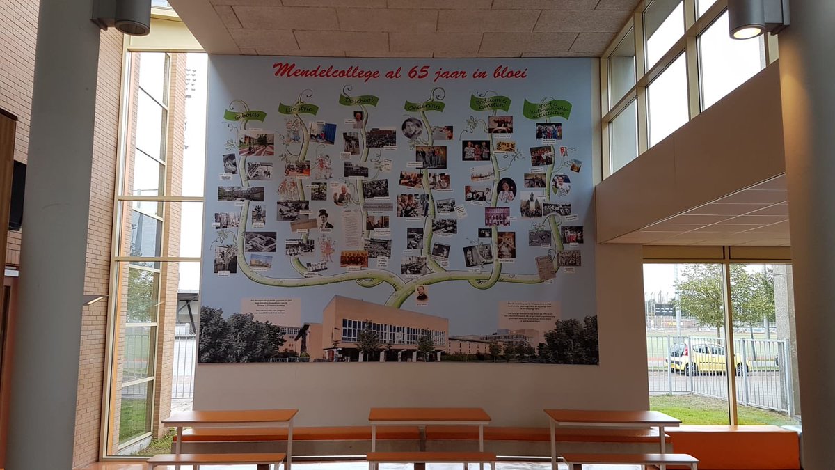 Lustrumdoek "Mendelcollege al 65 jaar in bloei" bij start schooljaar onthuld. Prachtig doek, ontworpen door onze collega's Thomas Coltof en Peter van Elk.