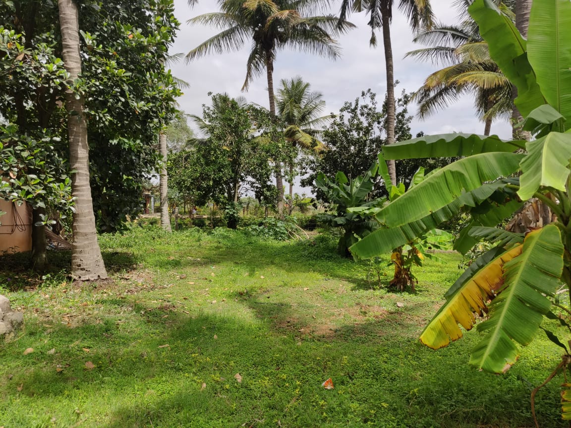 gamedrivepark's tweet image. #nopolution #bliss #getaway