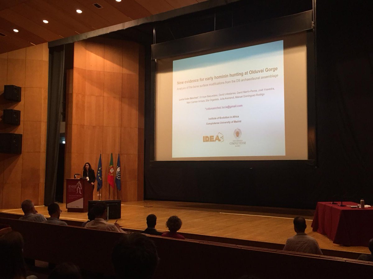 IDEAolduvai's tweet photo. New data from David Site BSM indicate that 1.8 Ma ago hominins would have systematically transported fleshed carcasses to referential places
PechaKucha presetation today by our team mate Lucía
#eshe2018 #BoneSurfaceModifications #Taphonomy #IDEATeam @LCoboSanchez https://t.co/UvCzLBgrNk