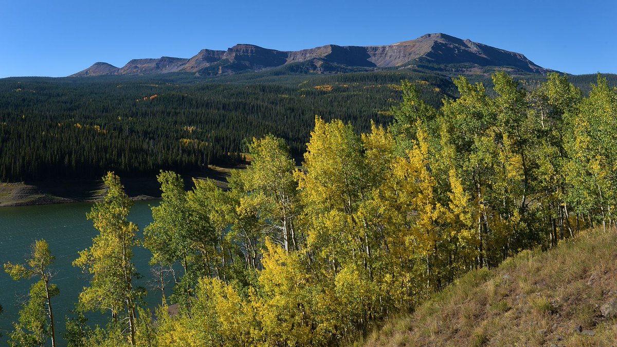 MattMakens's tweet photo. Color is coming along nicely on the aspens in the Flat Tops Wilderness near Yampa, CO. Worth checking out this weekend...

Thank you for the report, Larry Pierce. https://t.co/6cuiCBpihH