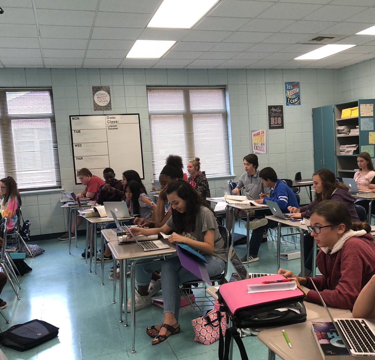 Haley Rowe tweet media