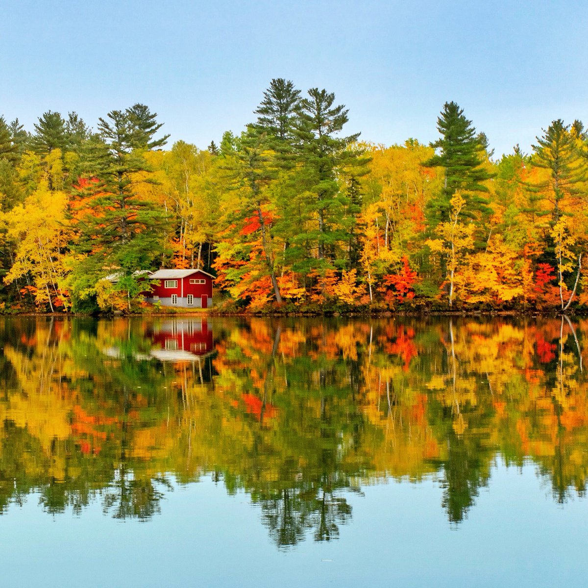 Sun-filled, autumn days are right around the corner... #ThursdayThoughts #maine #mainething #MaineFoliage #throwbackthursday #visitmaine #exploremaine #naturalnewengland @naturalnengland @DavidWMTW @visitmaine @mainetourism @MagazineofMaine #stayforalifetime @mainefoliage