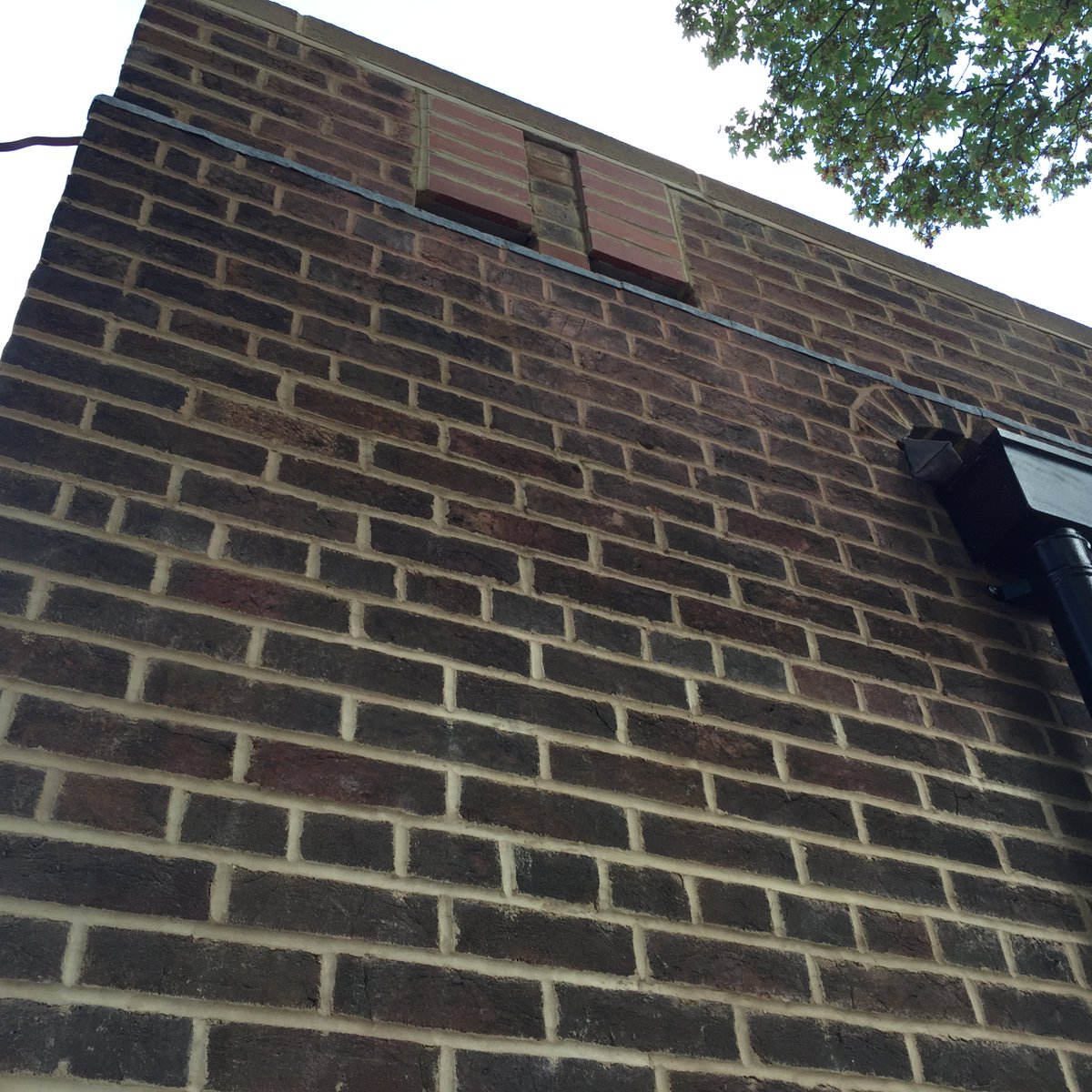 Caxton Builders Ltd tweet media