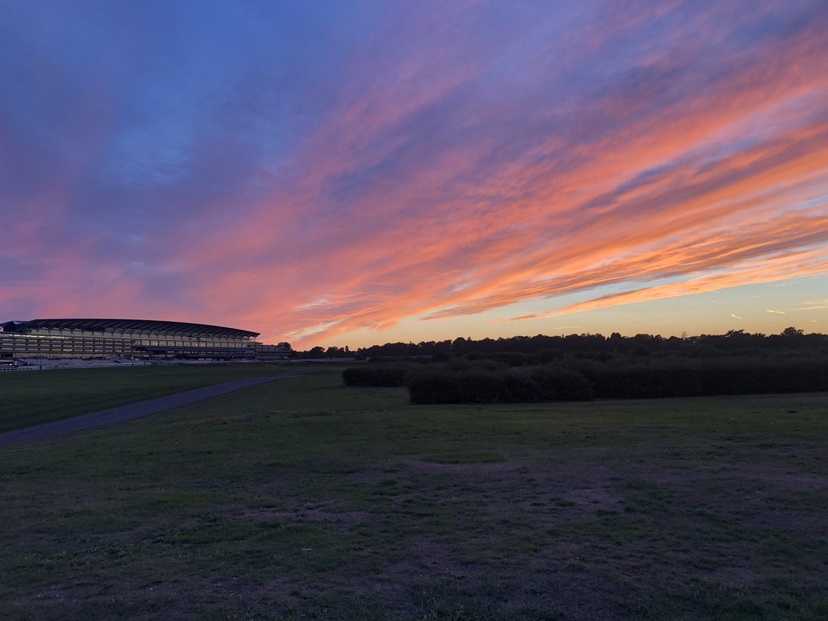 AnnabelHPhoto's tweet photo. @Ascot stunning sky over the racecourse last night. Made for a great run with @WindleValley https://t.co/hijQYagvwo
