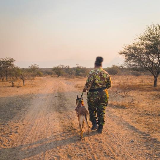 We are very proud to announce the partnership between @blackmambasapu and @Cheetah_Centre. 
2 Black Mambas have joined our #antipoaching team, at HESC. 
Read here:  bit.ly/2OhVMSc
#rhinoconservation #conservationnews #rhinoprotection #conservation