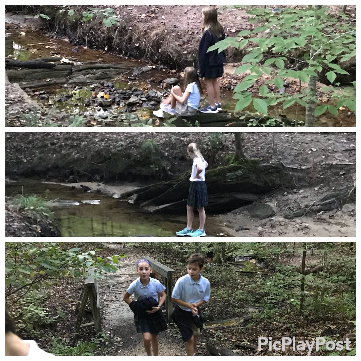 yerlifeguard's tweet photo. Taking advantage of a beautiful morning! Very fortunate to have these woods behind our school. We love being outdoors! “We should probably do this once a week, once a DAY!” #TrinityLeans #CherishChildhood #DiscoveryWoods https://t.co/CkpJYBabJ8