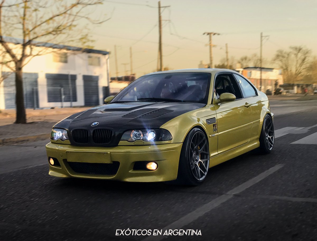 Exóticos en Argentina tweet media