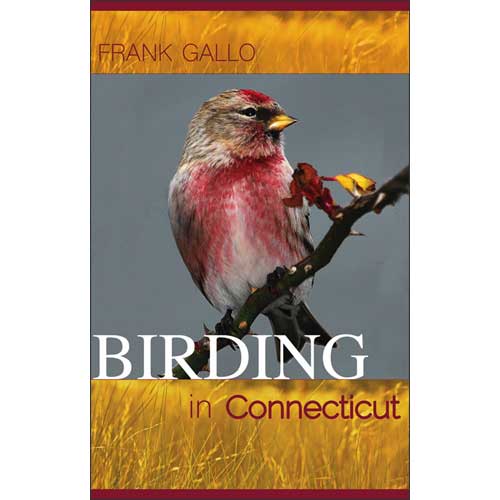 The Best New Books on Birds &amp; Natural History at Buteo Books - mailchi.mp/e68fe2b4c8de/s…