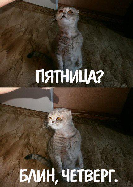 Прикольные картинки с четвергом и пятницей, анимашки лодочка