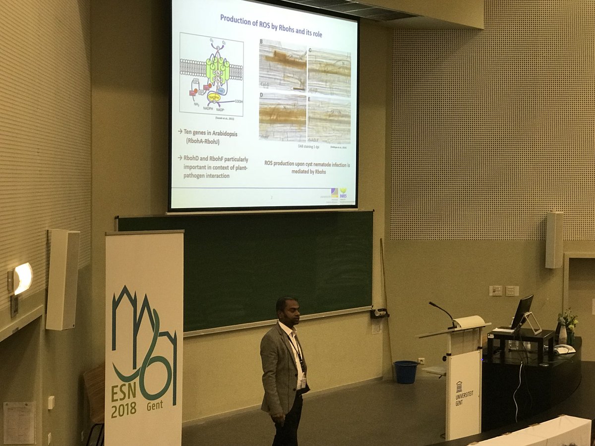 jaapjanwillig's tweet photo. Interesting talk from Hasan Shamik about reactive oxygen species redirect hormone levels, in particular auxin, during cyst nematode infection.  #esn2018 https://t.co/V7qpjP95gO