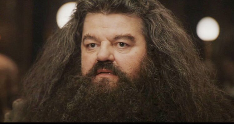v_boyadjian's tweet photo. Yer a wizard Harry! #NFID19 https://t.co/pPbtgvkYPS