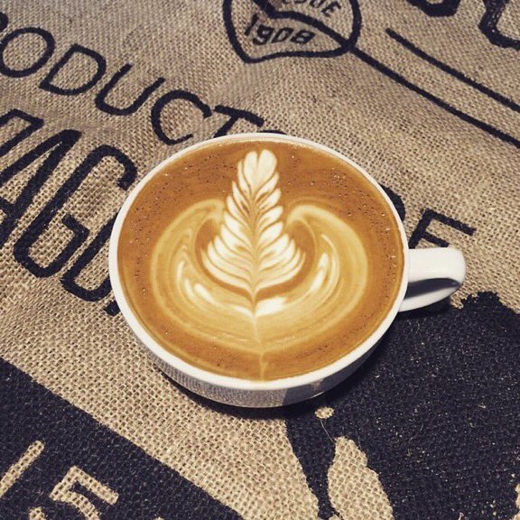 julia_doughty's tweet photo. Good morning โ๏ธ ๐ Anyone else ready for the weekend? #ThursdayThoughts #FridayEve #Workflow #WholesaleCoffee #batdorfcoffee #RoastedToOrder #CoastToCoast https://t.co/z12w2yAmnf
