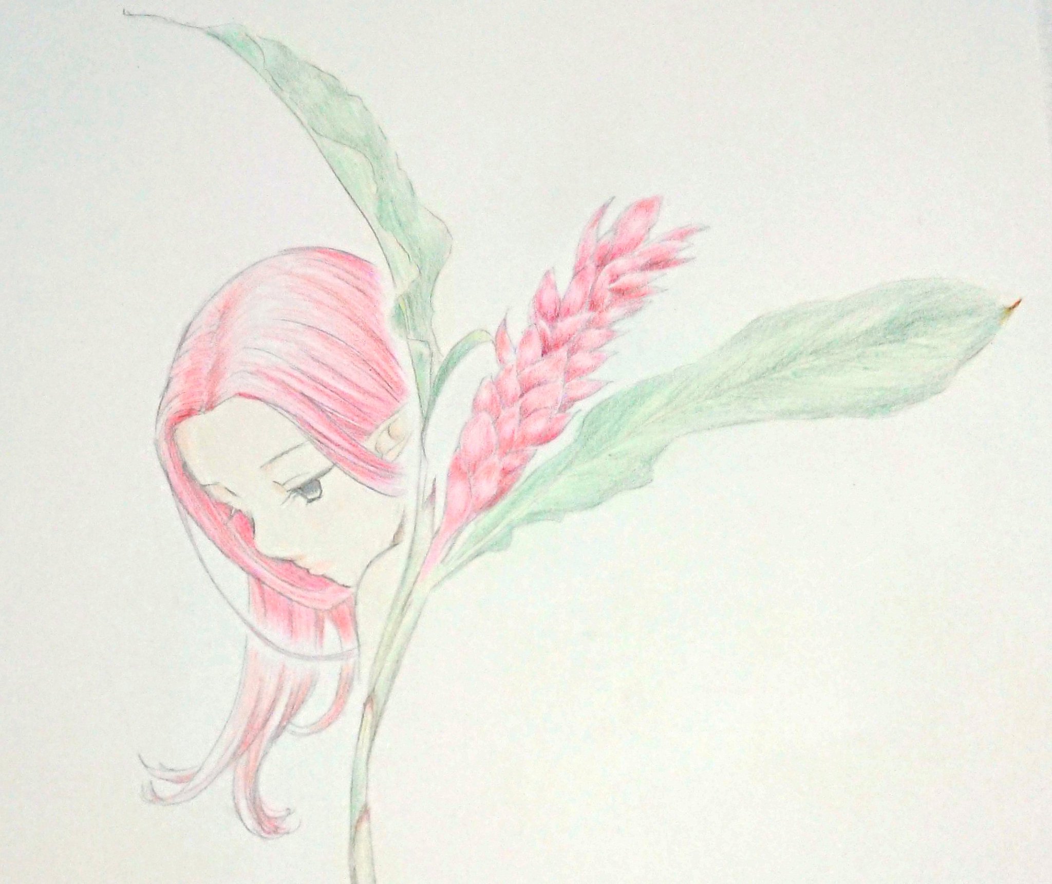 みけ A Twitter ちょっと描いてみたくて グロキシニア ジンジャー 彼から香る匂いがジンジャーとの事なので いずれキング 金木犀も描きたい 七つの大罪 漫画 グロキシニア イラスト ジンジャーの花