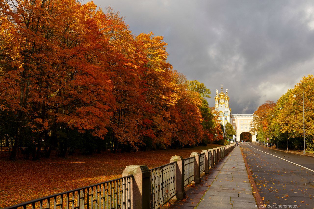 Открытки осенний петербург, днюхой андрюха апреля