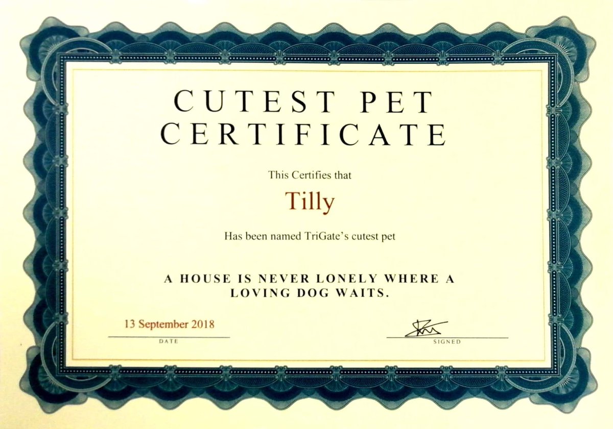 TriGateoffices's tweet photo. #Congratations Tilly! You are officially TriGate's cutest pet.
#Winner #cutenessoverload https://t.co/lxpdSgFyn6