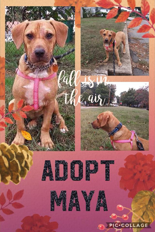 Pete Dufresne tweet media