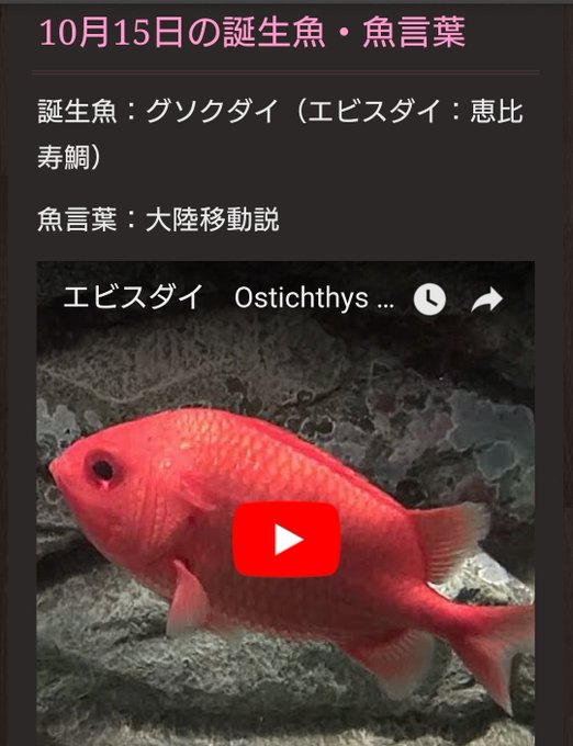 魚言葉のtwitterイラスト検索結果 古い順