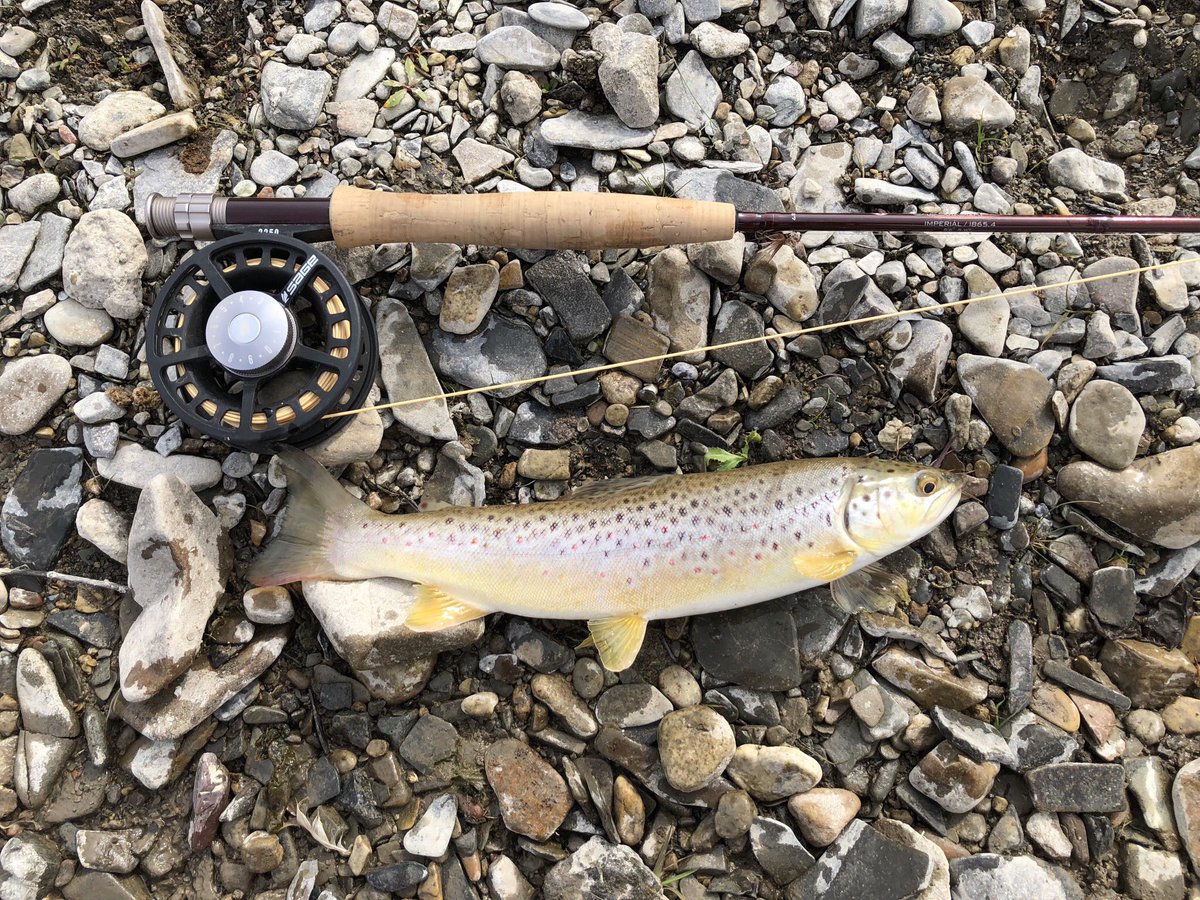 SandorCondor's tweet image. White Sulphor Springs - Montana! This place never disappoints! #SmithRiver #Flyfish #Rainbows #Browns