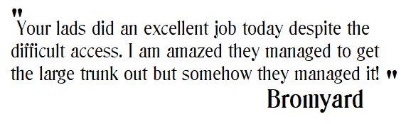 AcerTrees's tweet photo. Feedback from another happy customer!! 😁🌲🍃 #treework #teamAcer #CustomerFeedback https://t.co/1t9Aysg5x5
