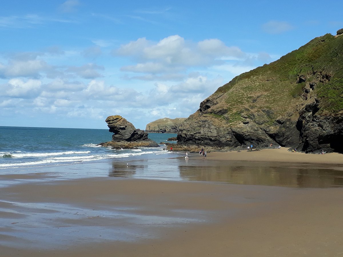 wendy_TRG's tweet photo. No migrants on a coastal walk at Llangranog but tumbling Ravens, a Peregrine,Kestrels and Stonechats always nice to watch. Ended perfectly with pub lunch in the @ThePentre Delicious food and highly recommended https://t.co/GSklRQoiOY