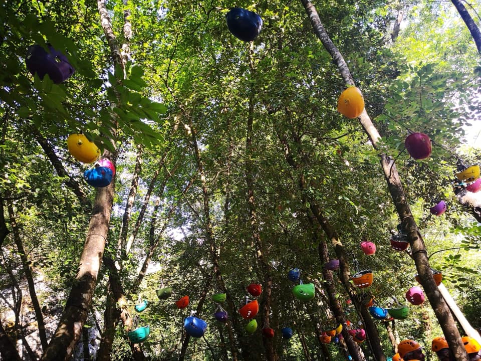 BmwNpm's tweet photo. Parce que nous souhaitons entretenir une relation conviviale avec nos clients pro, l’équipe du magasin pièces de rechange était ravie de leur faire partager une journée accrobranche. 🌳🌲
Merci à tous les MRA pour leur présence.
#satisfactionclient #BMW #experienceclient https://t.co/rtHtOlP6yB
