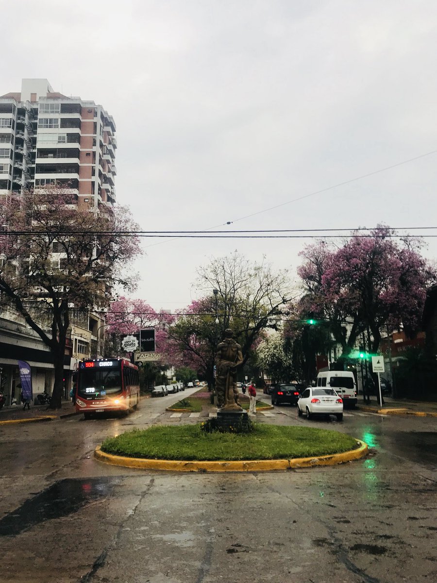 Ale_Brandolini's tweet photo. #Resistencia en flor pasada por agua 💧 #Buenjueves #PreencuentroPR https://t.co/ZL5jxzCpgc