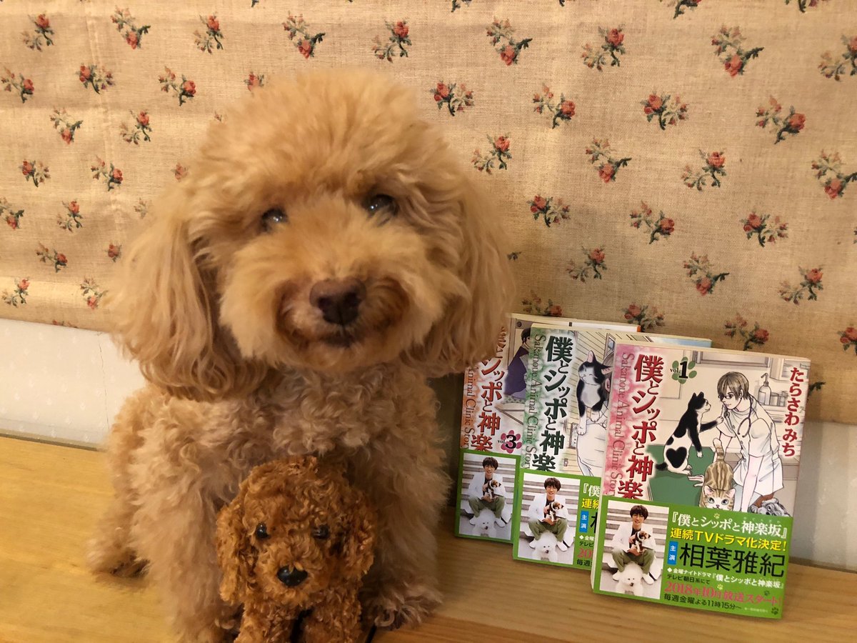 たらさわみち たらさわみち