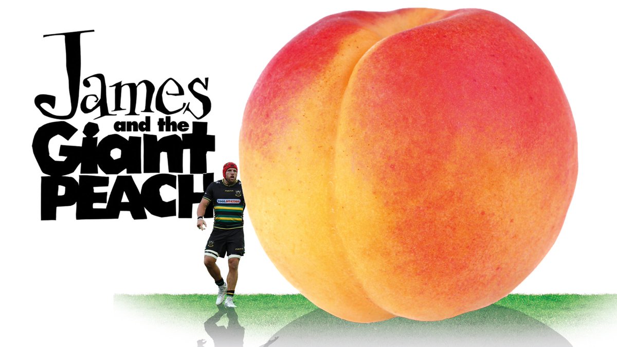 Northampton Saints 😇 (@saintsrugby) on Twitter photo 📚 Happy #RoaldDahlDay2018 - what's your favourite classic?
We like <a href="/jameshaskell/">James Haskell</a> and the Giant Peach 🍑 📚 Happy #RoaldDahlDay2018 - what's your favourite classic?
We like <a href="/jameshaskell/">James Haskell</a> and the Giant Peach 🍑