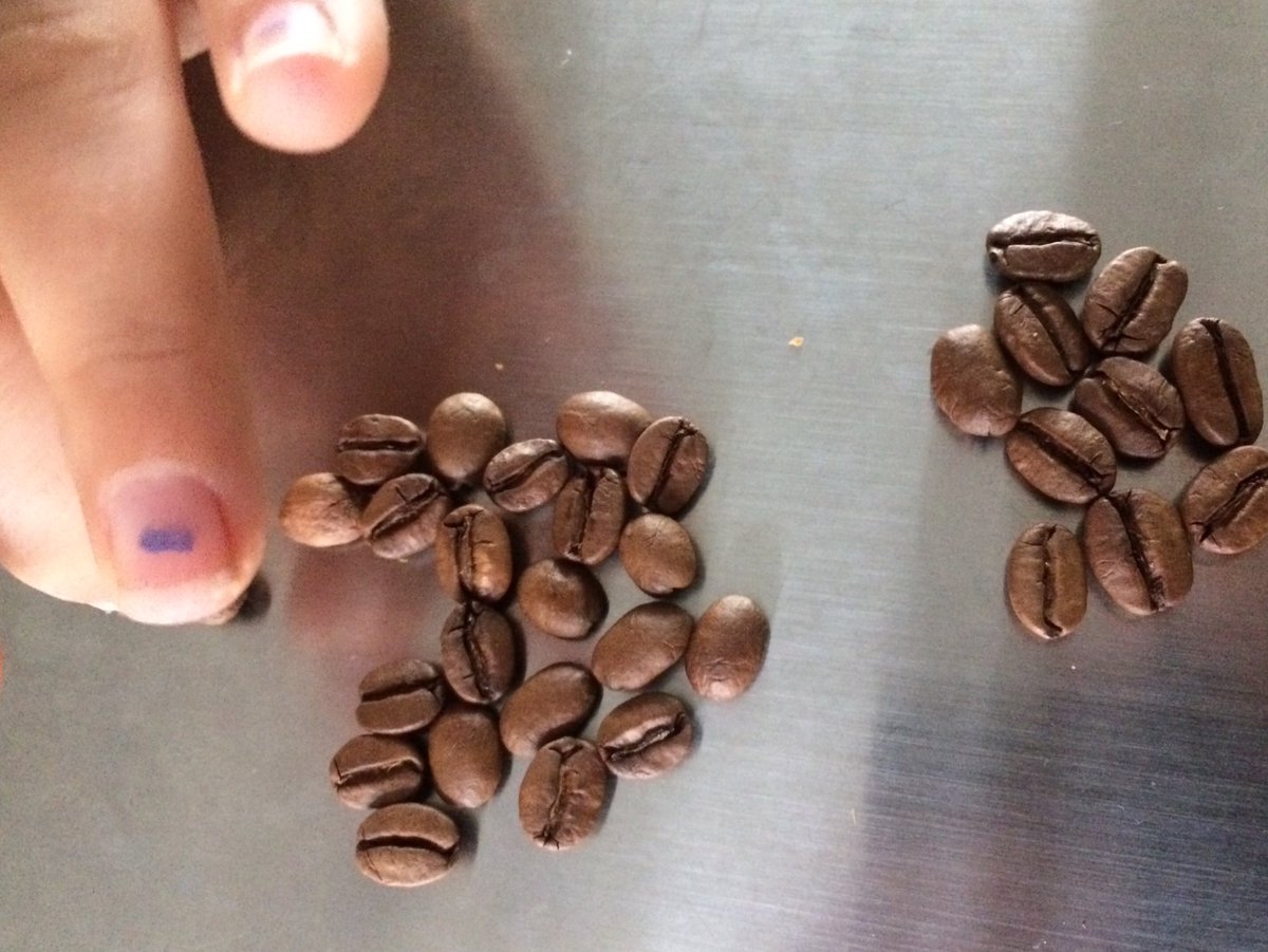 Love this ⁦<a href="/hasbean/">hasbean</a>⁩ Thundercloud blend, little 9yo fingers here separating the Nicaragua and El Sal on kitchen table... The verdict? We are all a blend of 2 parts! (Tho in this case 70/30)