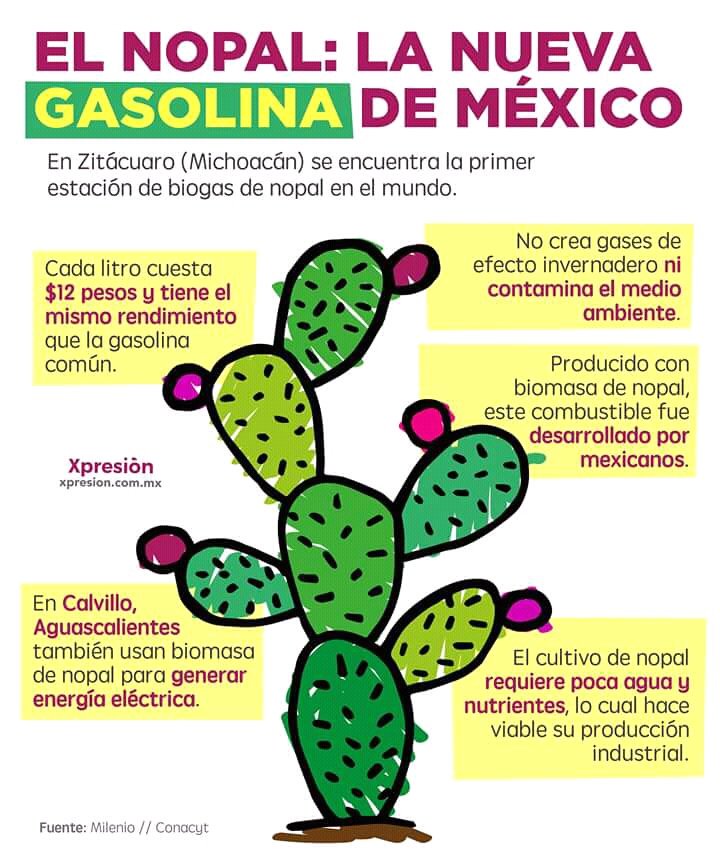 holaAsante's tweet photo. #MaravillasdeNuestroMéxico 
🌵La frase de que en México si hay talento solo falta apoyarlo cobro sentido nuevamente con esta sustentable iniciativa. 
RT para difundir 🇲🇽 https://t.co/BXtwWOT30x