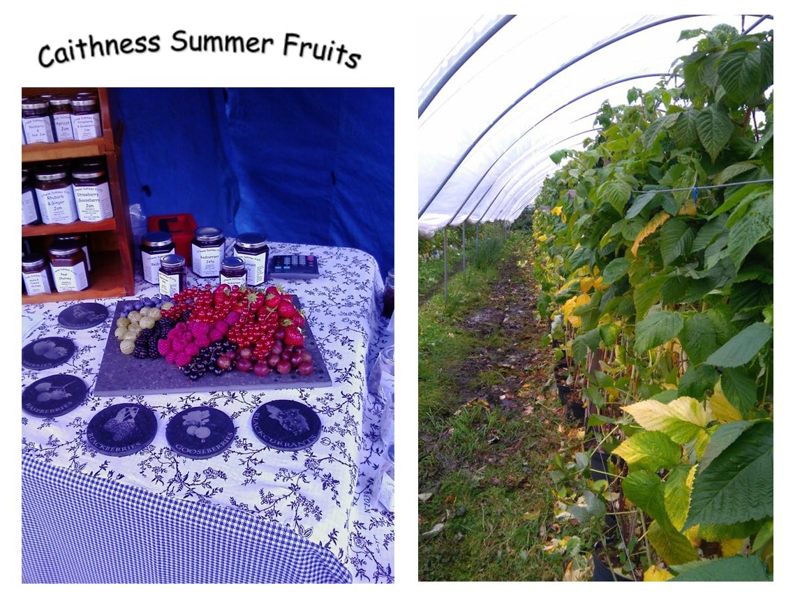 TasteNorthFest's tweet photo. We can't wait to see what Caithness Summer Fruits will bring with them to @TasteNorthFest  on the 30th of September. Specialising in the production of homemade preserves, baking and puddings, there is something for everyone! #tastenorth2018 #venturenorth #caithness #sutherland https://t.co/bRWfVu2GkG