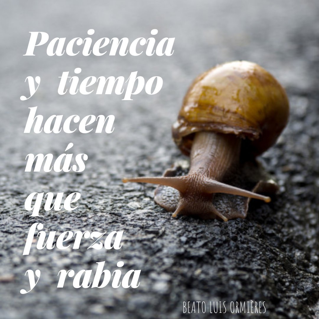 Paciencia y tiempo hacen más que fuerza y rabia.
#BeatoLuisOrmières
