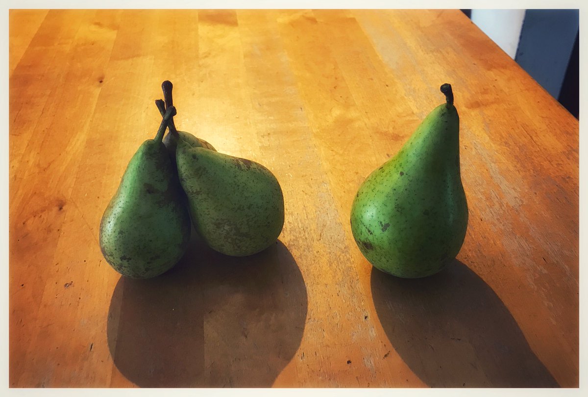 TimLihoreau's tweet image. All those pears, so far
[*MonicaVoice*] ‘I KNOW!’

#pearconference
#peterpears
#peargynt