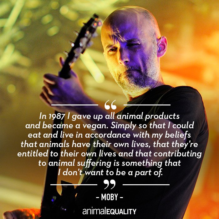 Happy birthday Moby – <a href="/thelittleidiot/">moby XⓋX</a>! 🎉
Thank you for everything you do for animals! ✊💚