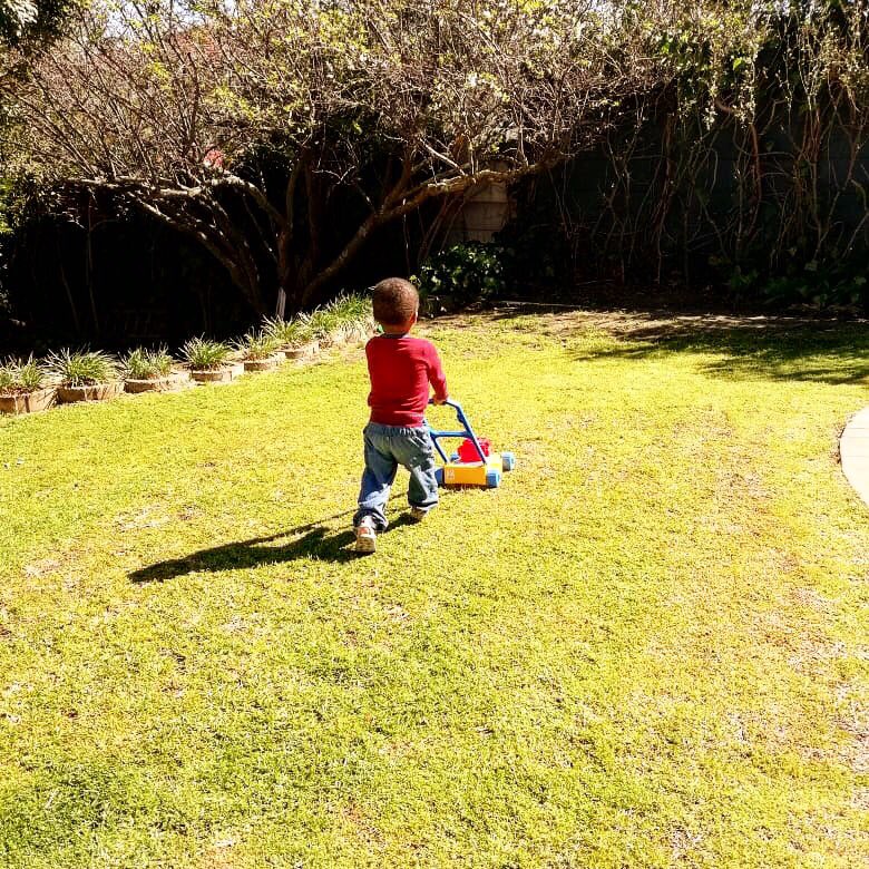 acresoflove's tweet photo. We’re grateful for daily time in the sunshine to imagine, dream & explore. Thanks for partnering w/us to offer our children the very best family care. #backyardplay #CapeTown https://t.co/nJSjgpEtZT