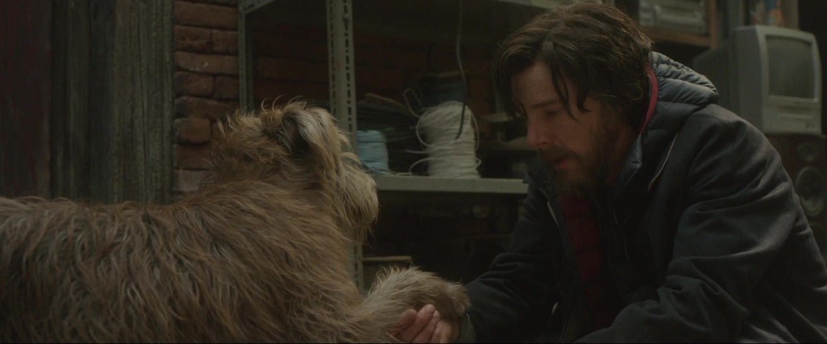 benedict pics (@bencpics) on Twitter photo 